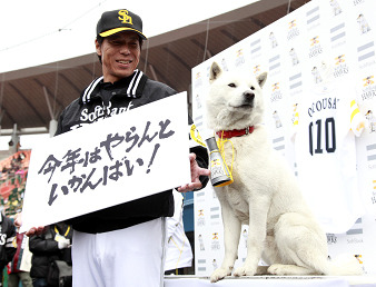 白戸家お父さん、ホークス応援隊長続投で活動強化を宣言