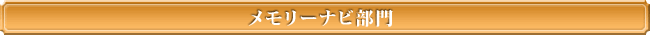 メモリーナビ部門