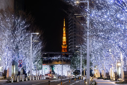 東京・六本木を白と青の約97万灯が彩る！「けやき坂イルミネーション」が11月5日から開催
