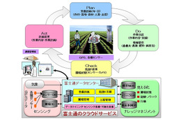 イオン直営農場、富士通のクラウドを活用したICTシステムを導入