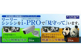 ジャイアントパンダのライブ映像を配信、パナソニックと上野動物園