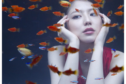 ソニー、4K対応〈ブラビア〉で長澤まさみらが“艶”を競う写真展を開催