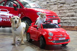 【青山尚暉のわんダフルカーライフ】インターペット2019、愛犬との暮らしに欠かせない自動車メーカーのブース