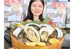 鳥取の天然岩ガキ「夏輝」シーズン到来！プレミアムな「砂丘の誉」も