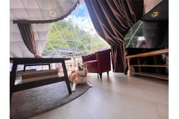 滋賀のグランピング「フューチャーリゾート」が愛犬宿泊OKの部屋をオープン