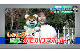 NHK『小田急小田原線』特集が26日よりスタート！町田・相模原・厚木など沿線の魅力をたっぷり紹介