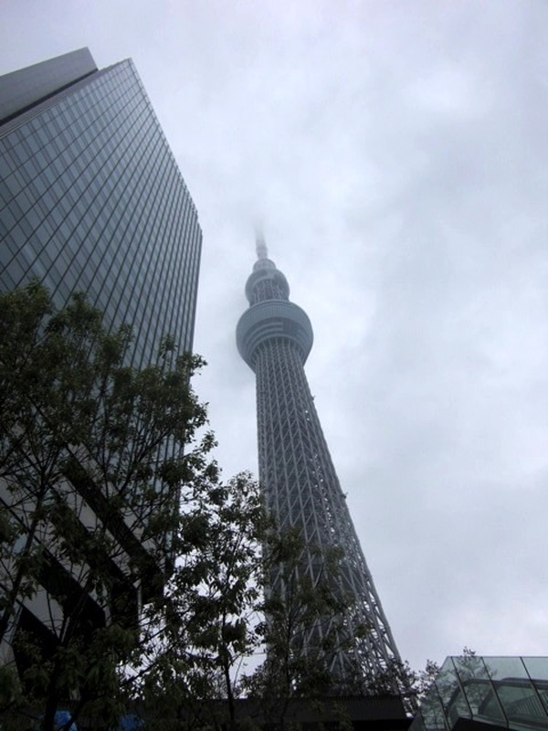 東京スカイツリーを斜め上から見る 衛星写真公開 3枚目の写真 画像 Rbb Today