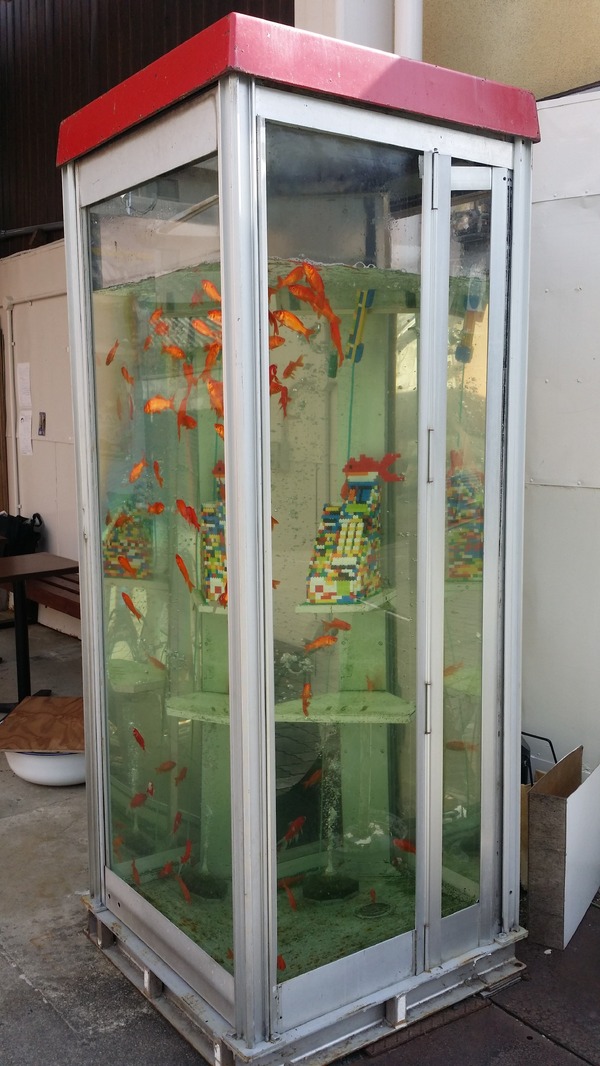 金魚のいる電話ボックスが話題 奈良 大和郡山のびっくりアート Rbb Today