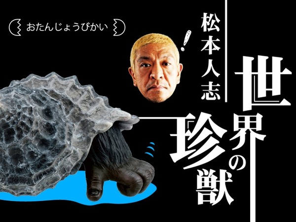 ガチャ「松本人志 世界の珍獣 第1弾」、リニューアルでAR技術を