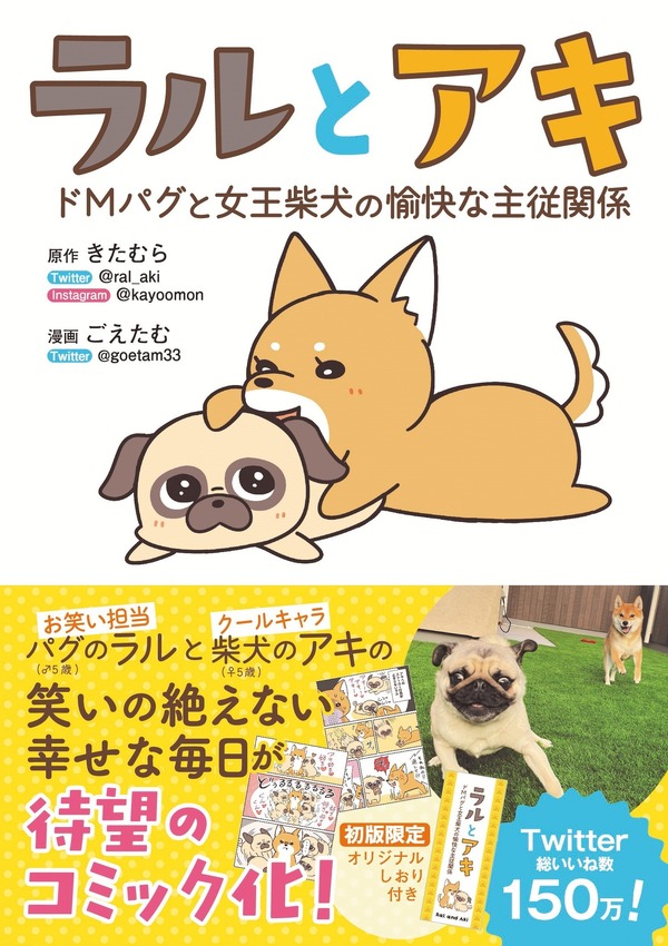 Snsで人気のパグ兄妹 笑いが絶えない幸せな毎日がコミック化 Rbb Today Snsで人気のパグ兄妹 笑いが絶えない幸せな毎日がコミック化 Rbb Today