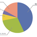 図-1　カテゴリ別比率（2010年10月～12月）