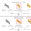 図9 前回の体系と今回の違い