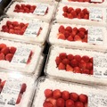 【コストコ新商品】2026年5月上旬に売り場で発見！初夏の食卓を彩る注目グルメ5種