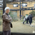 京都市動物園のゴリラ舎　撮影／小林禎弘