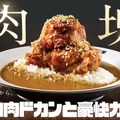 【ココイチ】「肉塊総選挙」で1位に輝いたメニューが復活！「ホロ肉ドカンと豪快カレー」を5月15日より店舗・数量限定で再販
