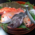 地魚