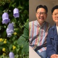 韓国の植物なのに学名に「竹島」　“日本名”を消したくても消せない国際ルールのなか、韓国が選んだ方法とは