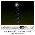 約1分の動画も公開中