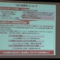 光の道構想の説明。「光の道」整備、国民への「光の道」へのアクセス権の保障、ICT利用促進による「豊かな社会」の実現を総合パッケージとする基本方針が打ち出された