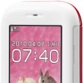 「SoftBank 740N」レッド・表面
