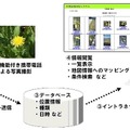 生物多様性調査の概要