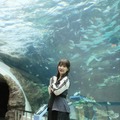 鎌田菜月『水族館の達人に聞いてみた』