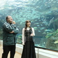 鎌田菜月『水族館の達人に聞いてみた』