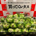 「Cook Do」オイスターソース 藤原竜也の「買ってくレタス」