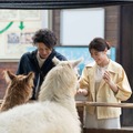 『さとこはいつも』©2026 「さとこはいつも」製作委員会