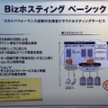 Bizホスティング ベーシックのサービス概要