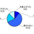 「過去のボーナス時の購買意欲」（出典MM総研 [ 東京・港 ] ）