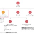 図-10 ru:8080がインストールするマルウェアの一例