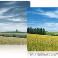 「BrilliantColor」で中間色の再現性を高めたイメージ