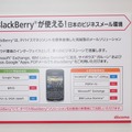 BlackBerryの企業向け各種サービスの例。従来型の企業設置環境型（サーバ構築タイプ）サービスのほか、クラウド環境利用型サービスを利用できる点が強み