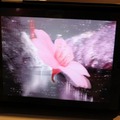 【TGS 2010】CRIブースはiPadの裸眼立体視技術が展示  【TGS 2010】CRIブースはiPadの裸眼立体視技術が展示 