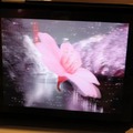 【TGS 2010】CRIブースはiPadの裸眼立体視技術が展示  【TGS 2010】CRIブースはiPadの裸眼立体視技術が展示 