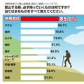 登山で必ず持っていくもの