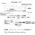 第4図：サブバンド／リージョン構成概念図