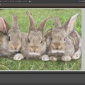 下絵にする写真を用意