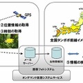 「全国タンポポ前線マップ」のしくみ