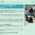 上野動物園公式HPのリリース