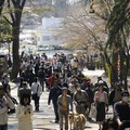 吉祥寺 井の頭公園