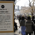 吉祥寺 井の頭公園