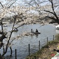 吉祥寺 井の頭公園