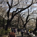 吉祥寺 井の頭公園