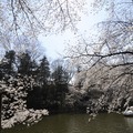 吉祥寺 井の頭公園