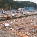 東日本大震災 田代島 電柱の一番上で津波に耐えた 東日本大震災 田代島 電柱の一番上で津波に耐えた