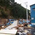 東日本大震災 田代島 電柱の一番上で津波に耐えた 東日本大震災 田代島 電柱の一番上で津波に耐えた