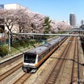 東京の桜の名所のひとつ。JR中央線東中野駅西方