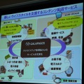 GALAPAGOS事業によるサービス